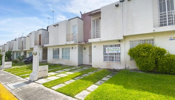 SEBASTOPOL I 17 4.jpg